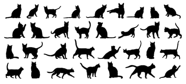 conjunto de silueta de gato gato o gatito aislado animal de granja colección vectorial de iconos de silueta