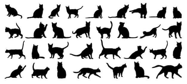 conjunto de silueta de gato gato o gatito aislado animal de granja colección vectorial de iconos de silueta