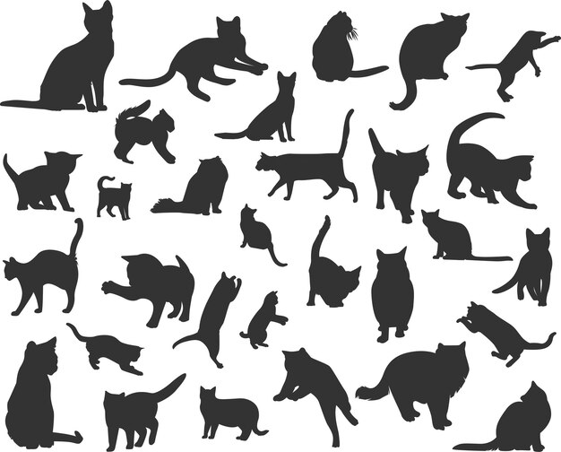 conjunto de silueta de gato