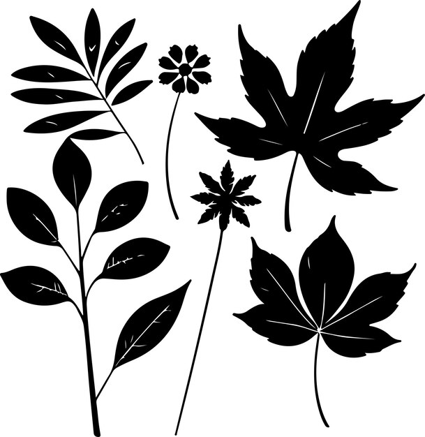 Conjunto de silueta de hoja Dibujado a mano con hojas y flores sobre fondo blanco