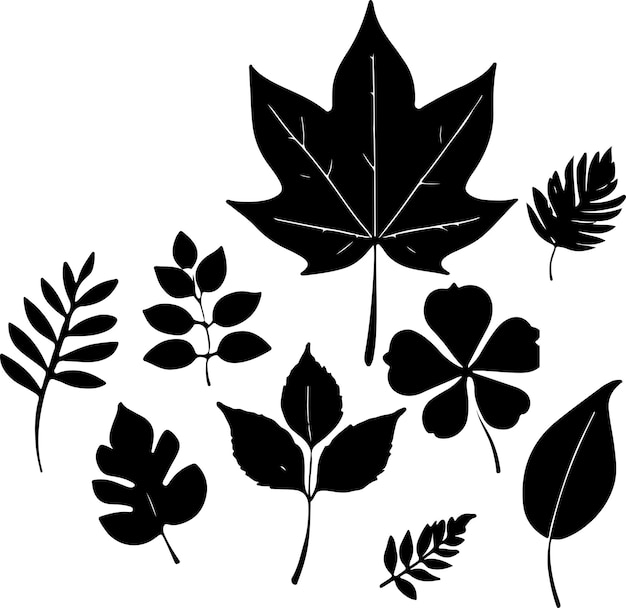 Conjunto de silueta de hoja Dibujado a mano con hojas y flores sobre fondo blanco