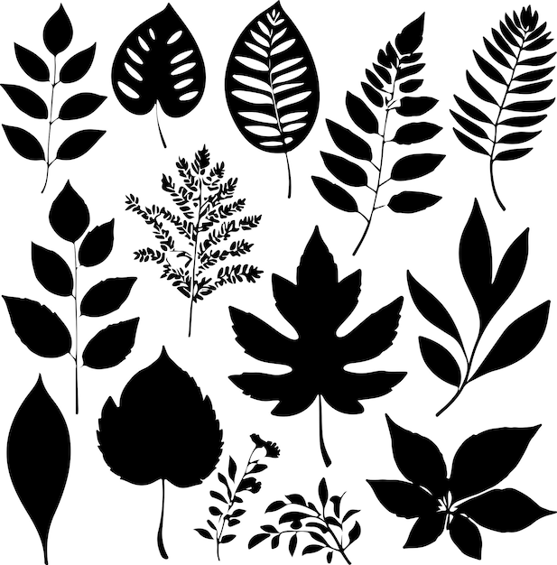 Conjunto de silueta de hoja Dibujado a mano con hojas y flores sobre fondo blanco