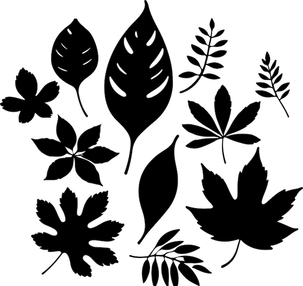 Conjunto de silueta de hoja Dibujado a mano con hojas y flores sobre fondo blanco