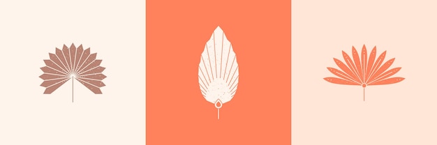 Conjunto de silueta de hojas de palmera abstracta en estilo simple. Vector Tropical Leaf Boho Emblema. Ilustración floral para crear logotipos, patrones, estampados de camisetas, diseños de tatuajes, publicaciones en redes sociales e historias