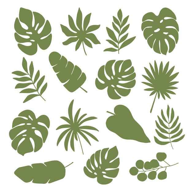 Vector conjunto de silueta de hojas de plantas tropicales. monstera, palma, eucalipto, imágenes prediseñadas de hoja de plátano. ilustración de la selva aislada sobre fondo blanco.