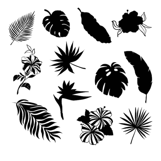 Vector conjunto de silueta de hojas tropicales con algunas flores en color negro como abanico de coco palma de plátano monstera helecho ave del paraíso plumeria heliconia hibiskus las hojas se incluyen como cepillos en la biblioteca