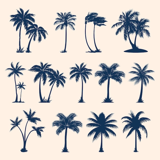 conjunto de silueta de imagen vectorial de palma y coco
