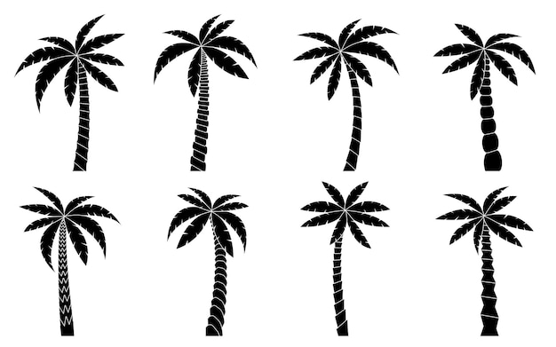 Vector conjunto de silueta negra de palmera hermosa planta de playa tropical jardinería cultivada en la jungla de coco árbol exótico para cartel de vacaciones naturales botánica exótica bandera de miami tarjeta de turismo de viaje hawaiano