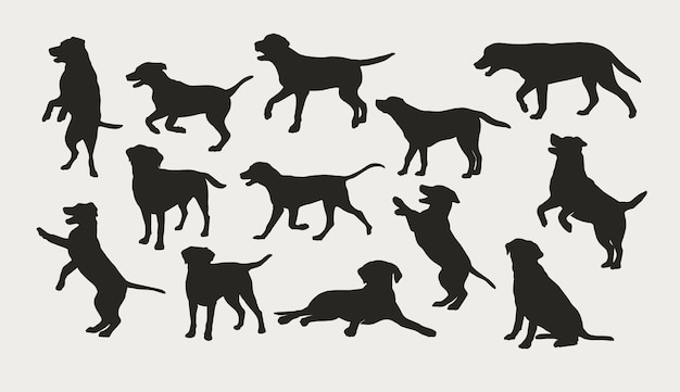 conjunto de silueta de perro labrador