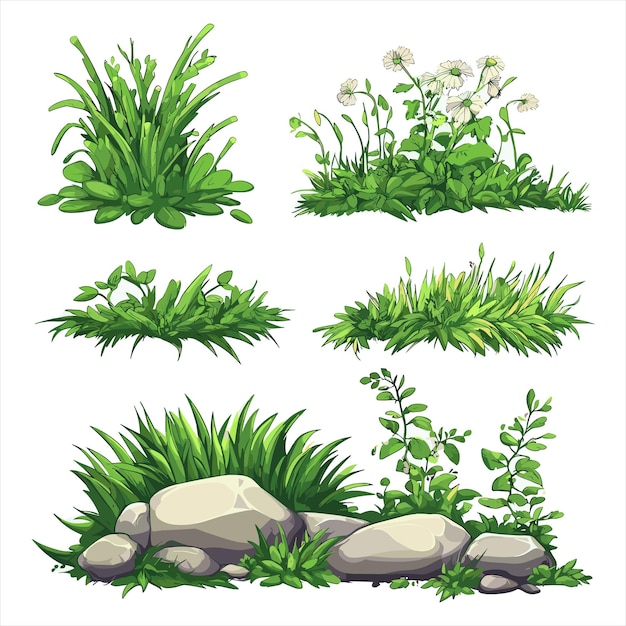 Conjunto de silueta de vector de bordes de hierba