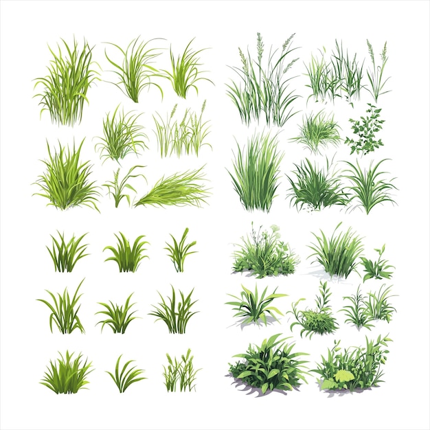 Conjunto de silueta de vector de bordes de hierba