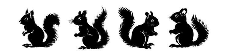 Vector conjunto silueta vectorial de ardilla negra aislada en fondo blanco