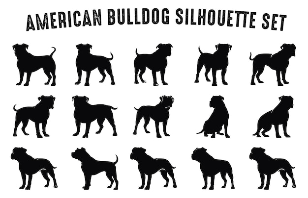 Conjunto de silueta vectorial de bulldog americano siluetas negras de bulldog americano sobre un fondo blanco