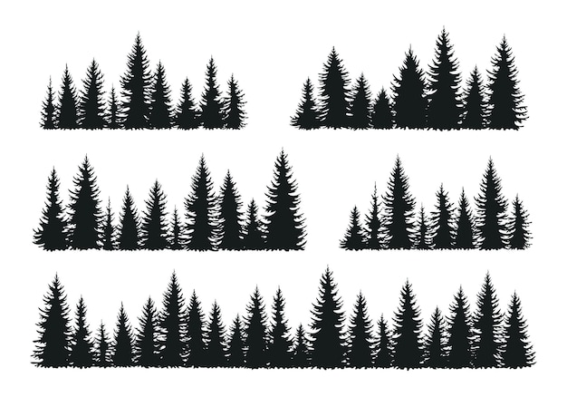 Conjunto de siluetas de abeto abeto bosque.
