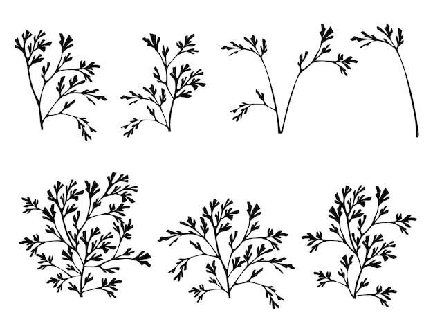 Vector conjunto de siluetas de algas marinas de coral negro ilustración de vector plano aislado sobre fondo blanco