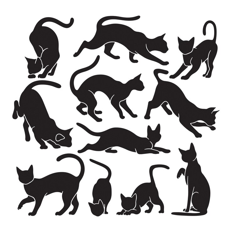 conjunto de siluetas de arte vectorial de gatos sobre un fondo blanco