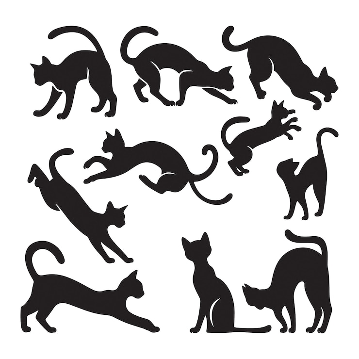 conjunto de siluetas de arte vectorial de gatos sobre un fondo blanco