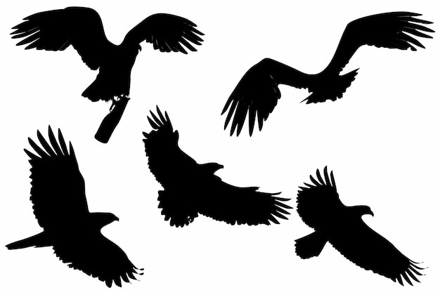 conjunto de siluetas de aves águila, logotipos, iconos