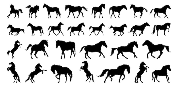 Conjunto de siluetas de caballos caballos diferentes poses aislados animales de granja colección de iconas vectoriales de siluetas