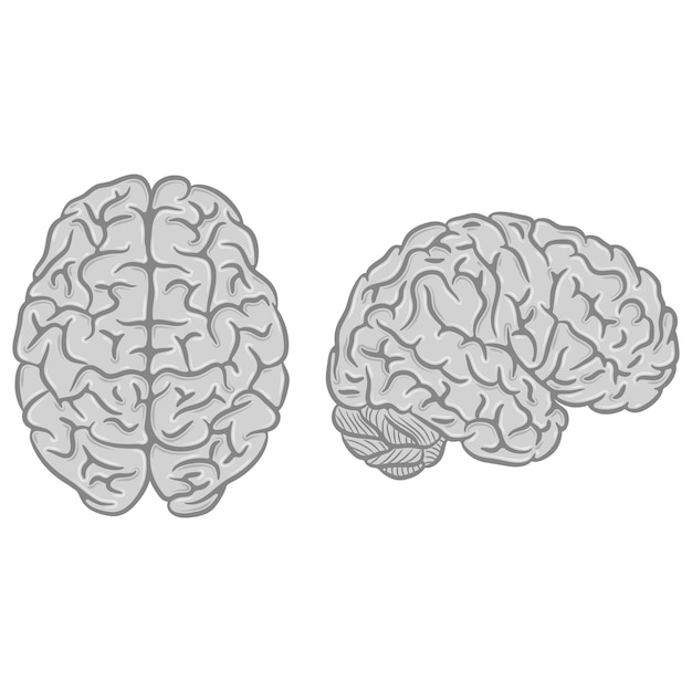 Conjunto de siluetas de cerebro gris