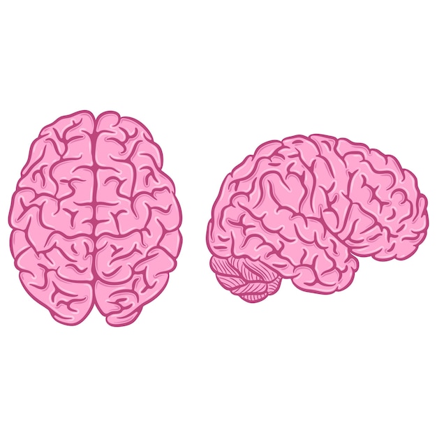 Conjunto de siluetas de cerebro rosa