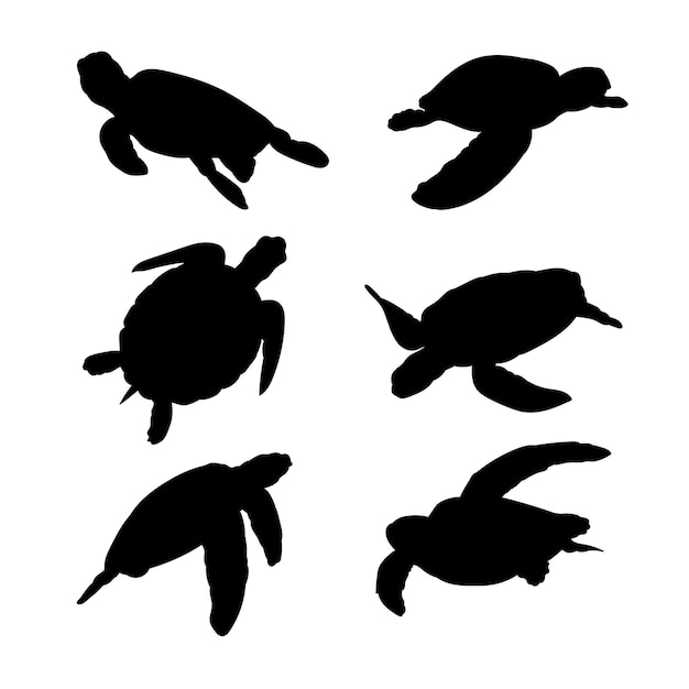 Vector conjunto de siluetas de diseño de vectores de tortugas marinas