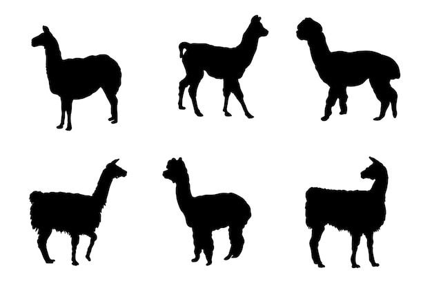 Conjunto de siluetas de diseño vectorial Llama