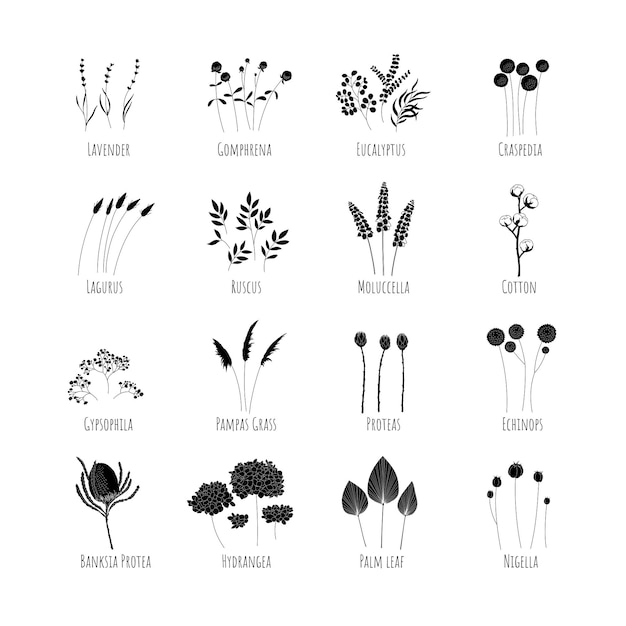 Conjunto de siluetas de flores secas. ilustración vectorial