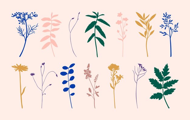 Conjunto de siluetas de flores silvestres en el estilo minimalista de moda Ilustración vectorial de hierbas