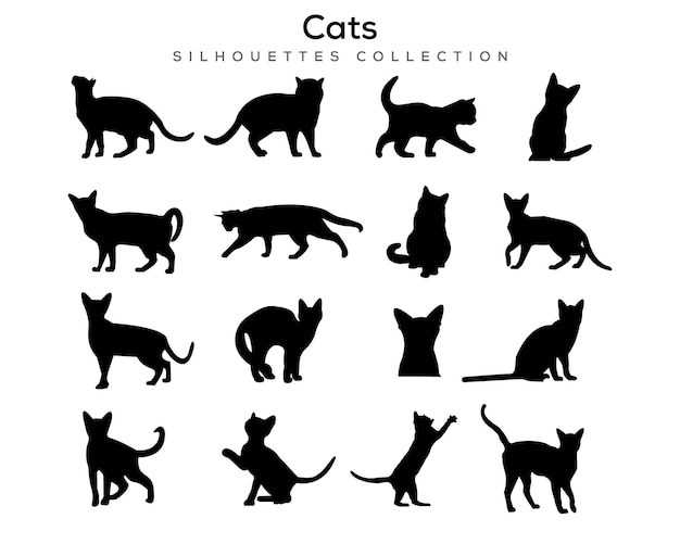 Vector conjunto de siluetas de gato negro