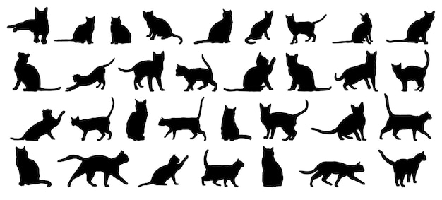 Conjunto de siluetas de gatos gato o gatito animal de granja aislado icono de silueta vector de colección vector