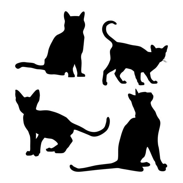 Vector conjunto de siluetas de gatos sobre un fondo blanco ilustración vectorial