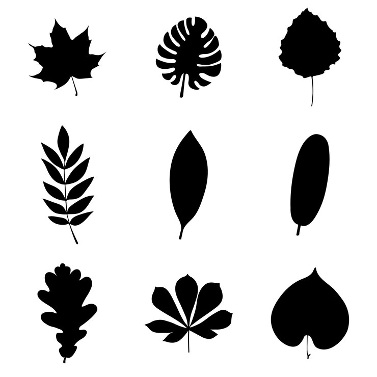 Vector conjunto de siluetas de hojas aisladas hojas negras sobre un fondo blanco ilustración vectorial