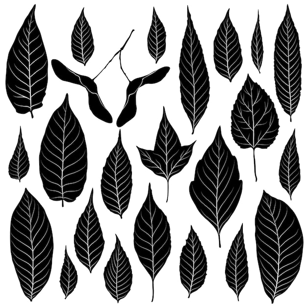 Conjunto de siluetas de hojas aisladas en vector de fondo blanco