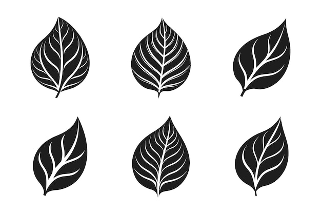 Conjunto de siluetas de hojas elegantes Ilustración vectorial botánica