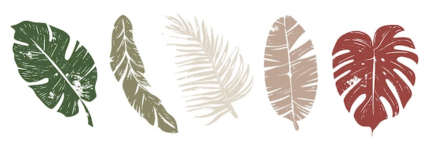Conjunto de siluetas de hojas de palma textura grunge hojas abstractas de palma de la selva tropical plantas decorativas siluetas gráficas de follaje elementos para el diseño aislados sobre fondo blanco colores apagados