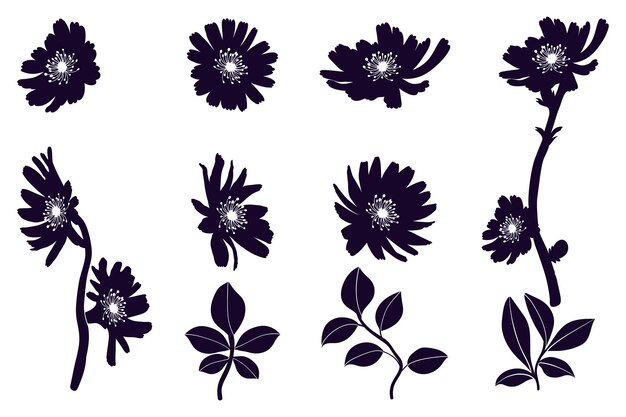 Conjunto de siluetas de íconos de flores Plantas de flores silvestres dibujadas a mano aisladas sobre un fondo blanco