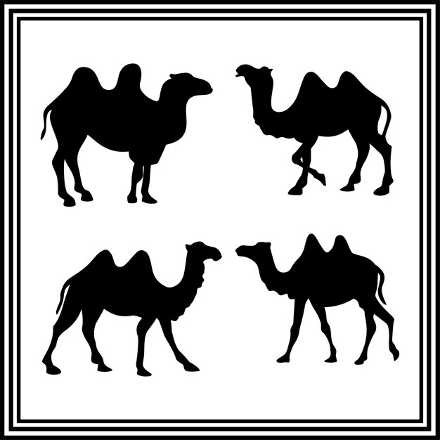 Conjunto de siluetas de la ilustración vectorial de Camel en fondo blanco