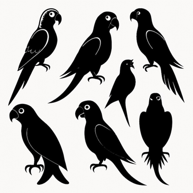 Conjunto de siluetas de loros