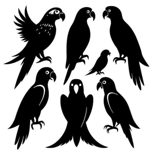 Conjunto de siluetas de loros