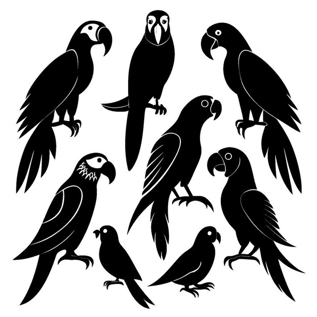 Conjunto de siluetas de loros