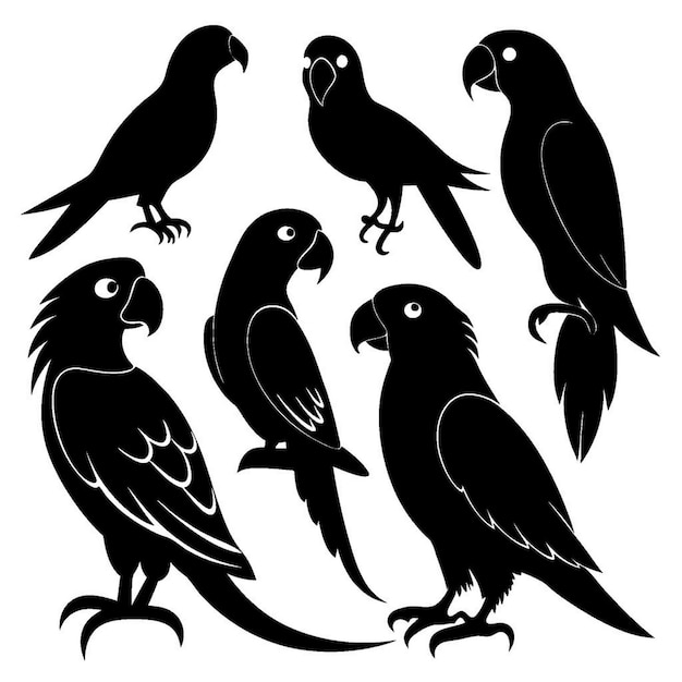 Conjunto de siluetas de loros