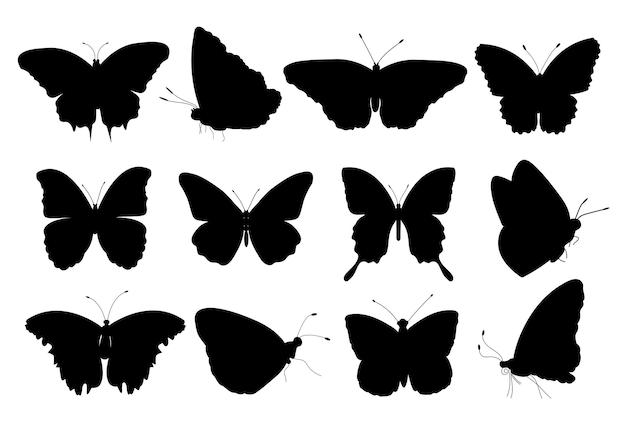 conjunto, de, siluetas, de, mariposas, exótico, tropical, insectos, negro, iconos