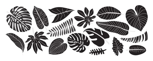 Conjunto de siluetas negras hojas de palmeras tropicales Monstera y hojas de selva de palmeras follaje exótico