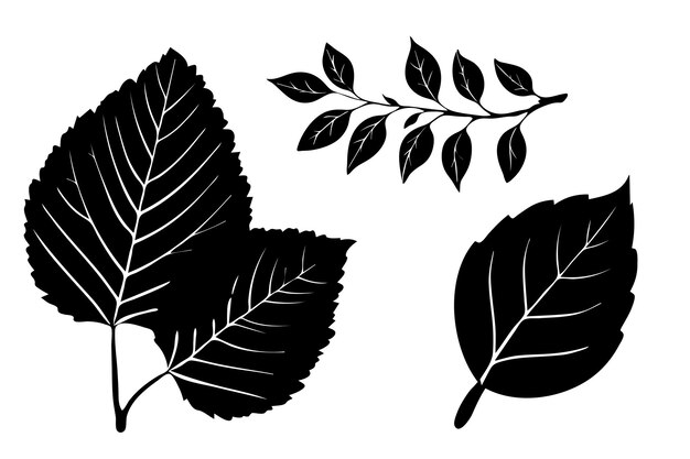 Conjunto de siluetas negras de hojas sobre un fondo blanco Ilustración vectorial