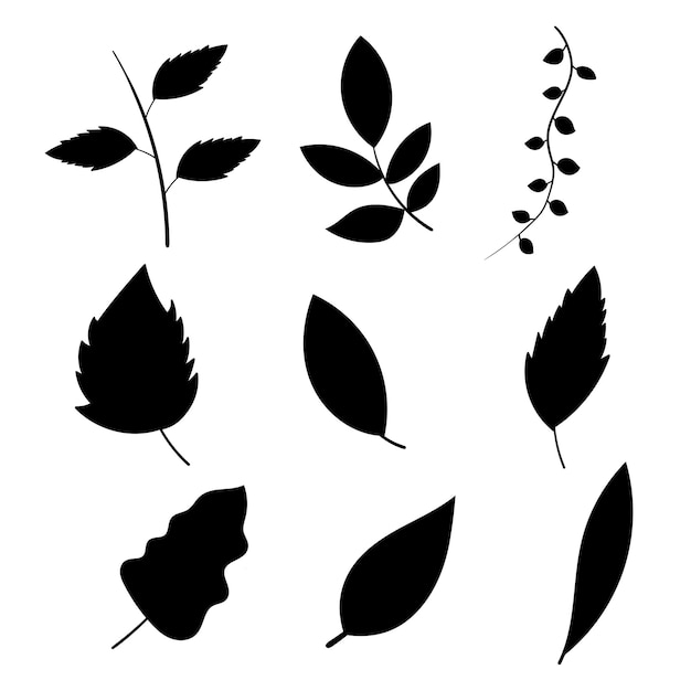 Conjunto de siluetas negras de hojas tropicales de palmeras Vector
