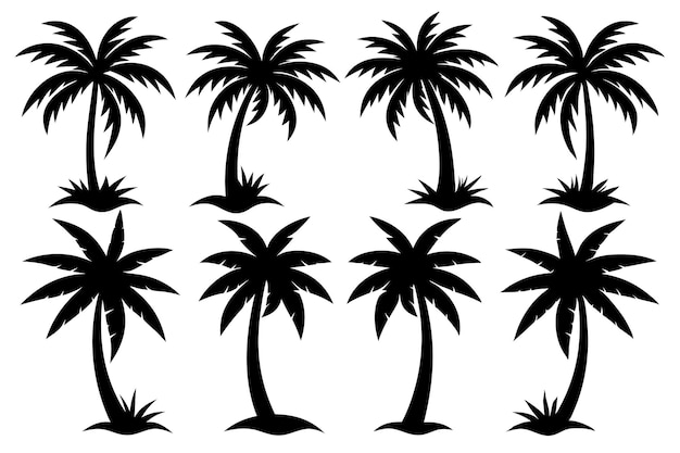 conjunto de siluetas negras de una palmera