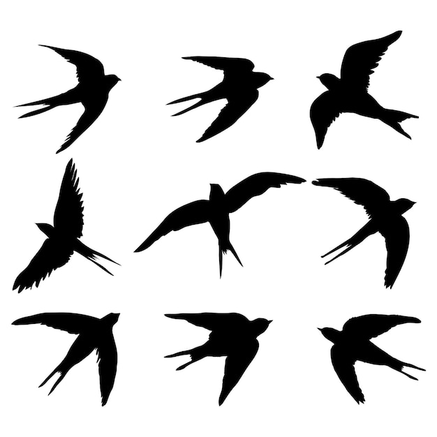 un conjunto de siluetas negras vectoriales aisladas de una golondrina, un pájaro sobre un fondo blanco.