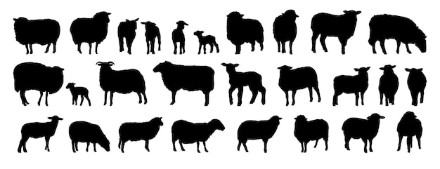 conjunto de siluetas de ovejas ovejas y corderos animales de granja aislados colección vectorial de iconos de siluetas
