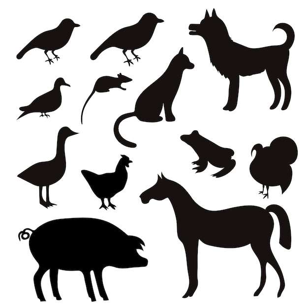 Vector conjunto de siluetas de pájaros y animales tropicales negros.